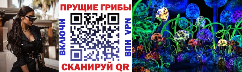 Галлюциногенные грибы мицелий  Кудрово 