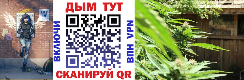 OMG ТОР  Кудрово  Шишки марихуана THC 21% 